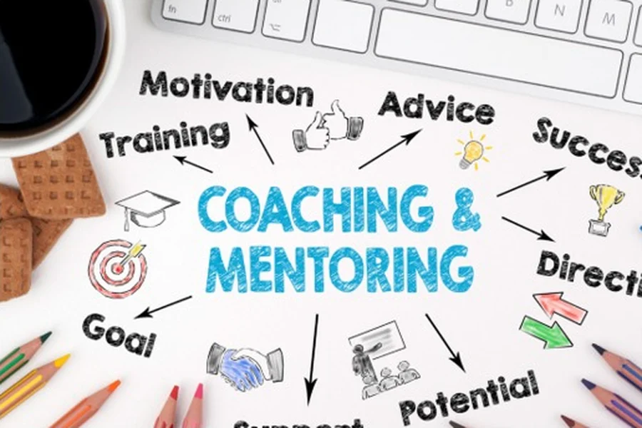 Thesis coaching and mentoring